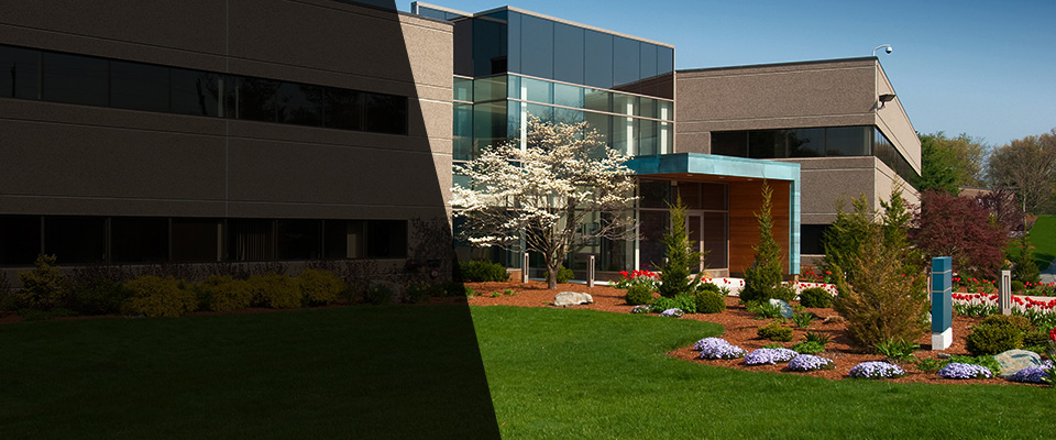 Bellaire Landscapers