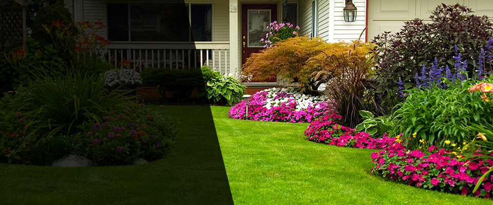 Bellaire Landscapers
