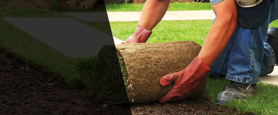 Bellaire Landscapers